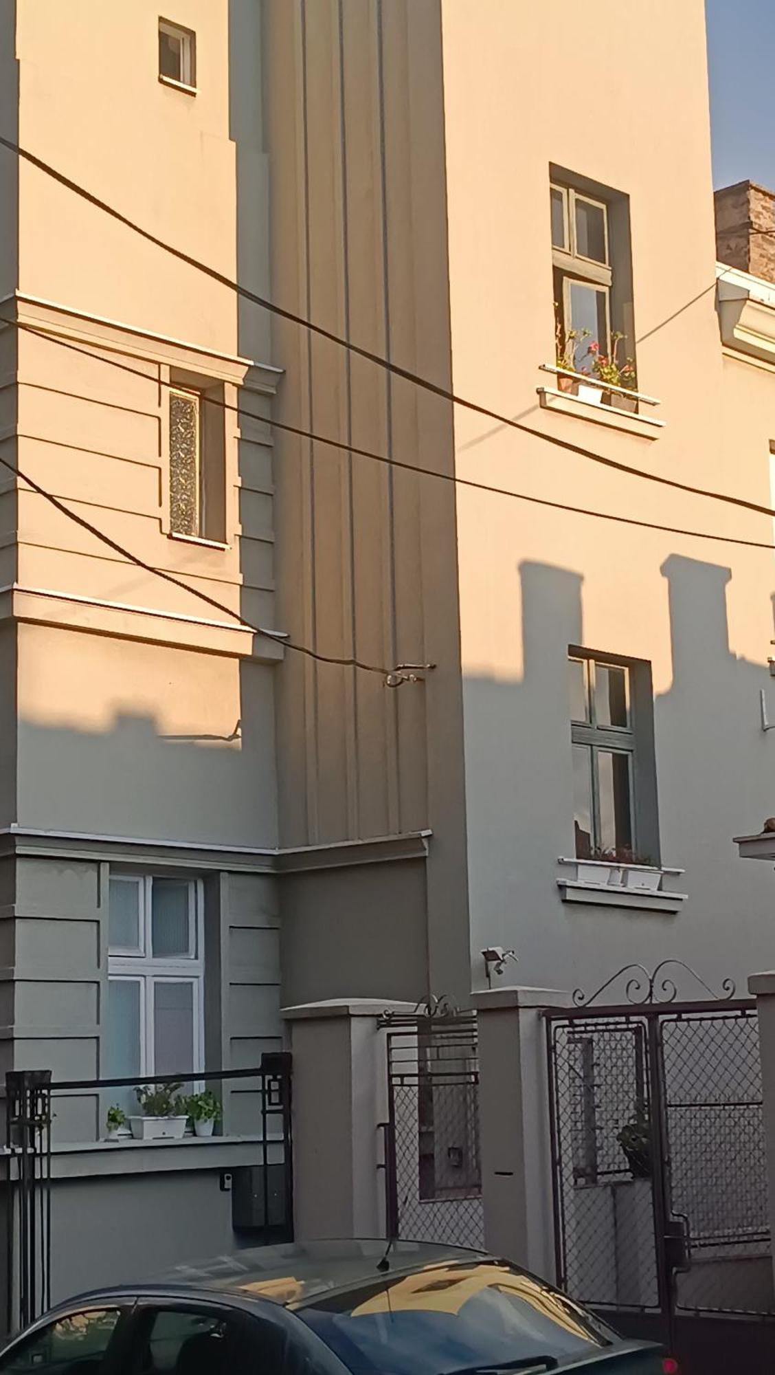 Jelena Apartment Belgrado Exterior foto